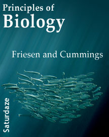  Principles of Biology 