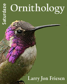  Ornithology 1.00 