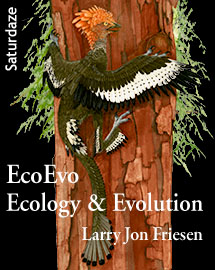  Ecology and Evolution 